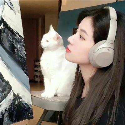 沉睡的哨兵