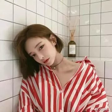玫瑰之战