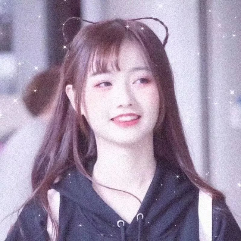 与鲨同泳