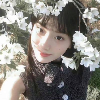 狐狸与我国语