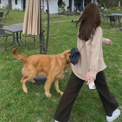民间传奇之帝女花粤语